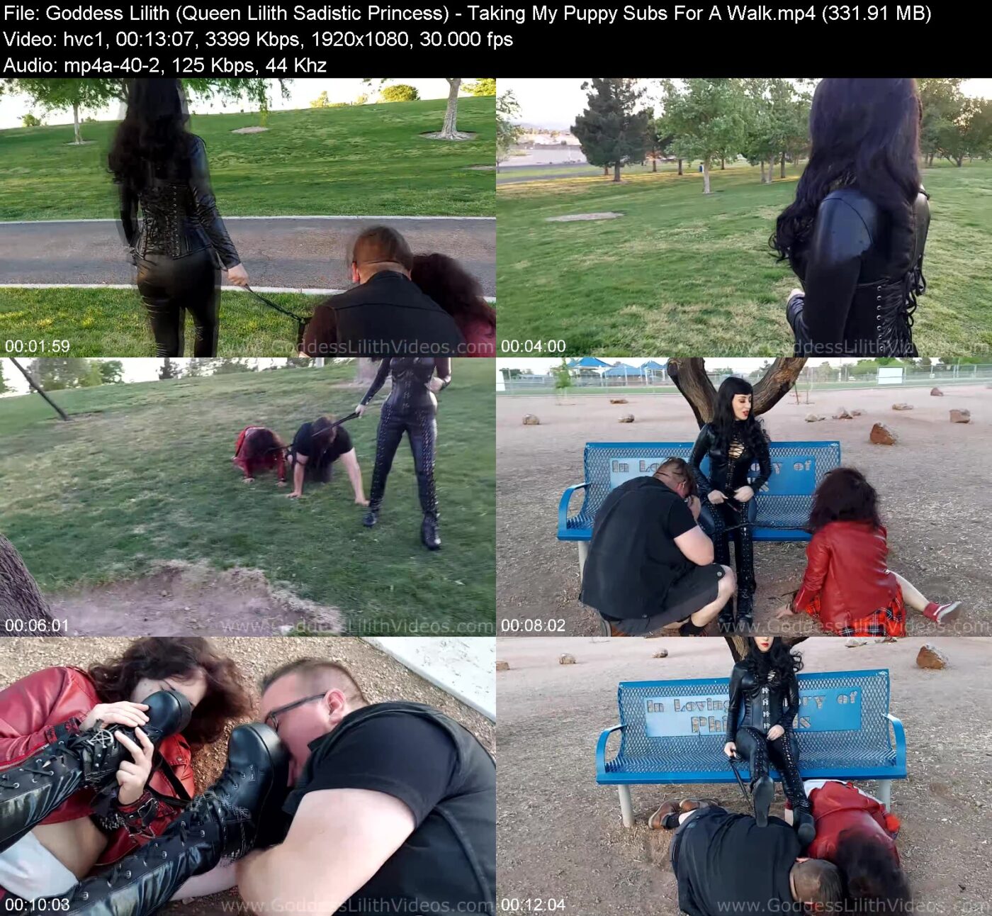 Actress: Goddess Lilith (Queen Lilith Sadistic Princess). Title and Studio: Taking My Puppy Subs For A Walk