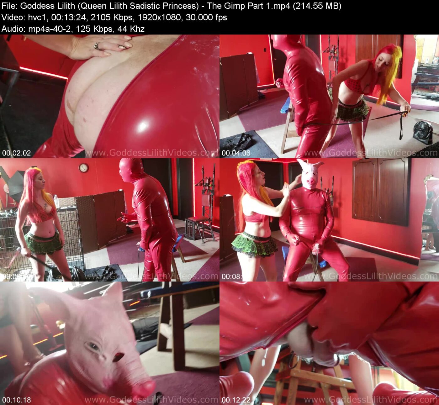 Goddess Lilith (Queen Lilith Sadistic Princess) in The Gimp Part 1