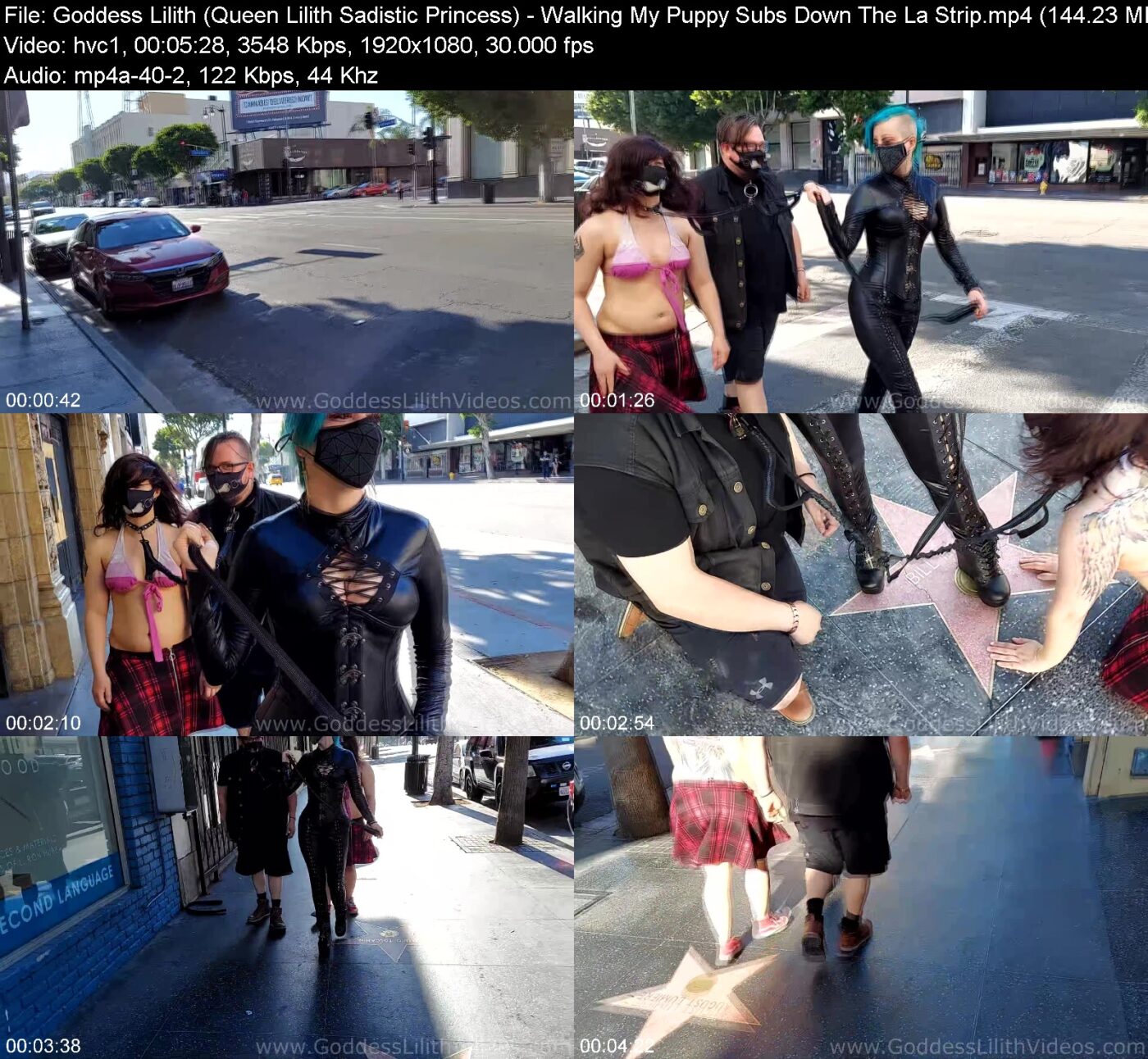 Goddess Lilith (Queen Lilith Sadistic Princess) in Walking My Puppy Subs Down The La Strip