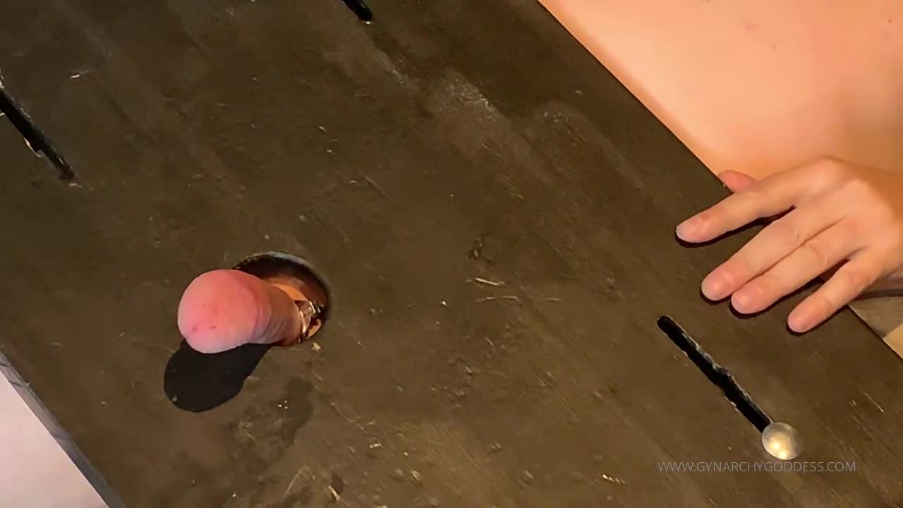 Goddess Serena Goddess Gynarchy in BAREFOOT COCK TRAMPLING AND FOOT FUCKING