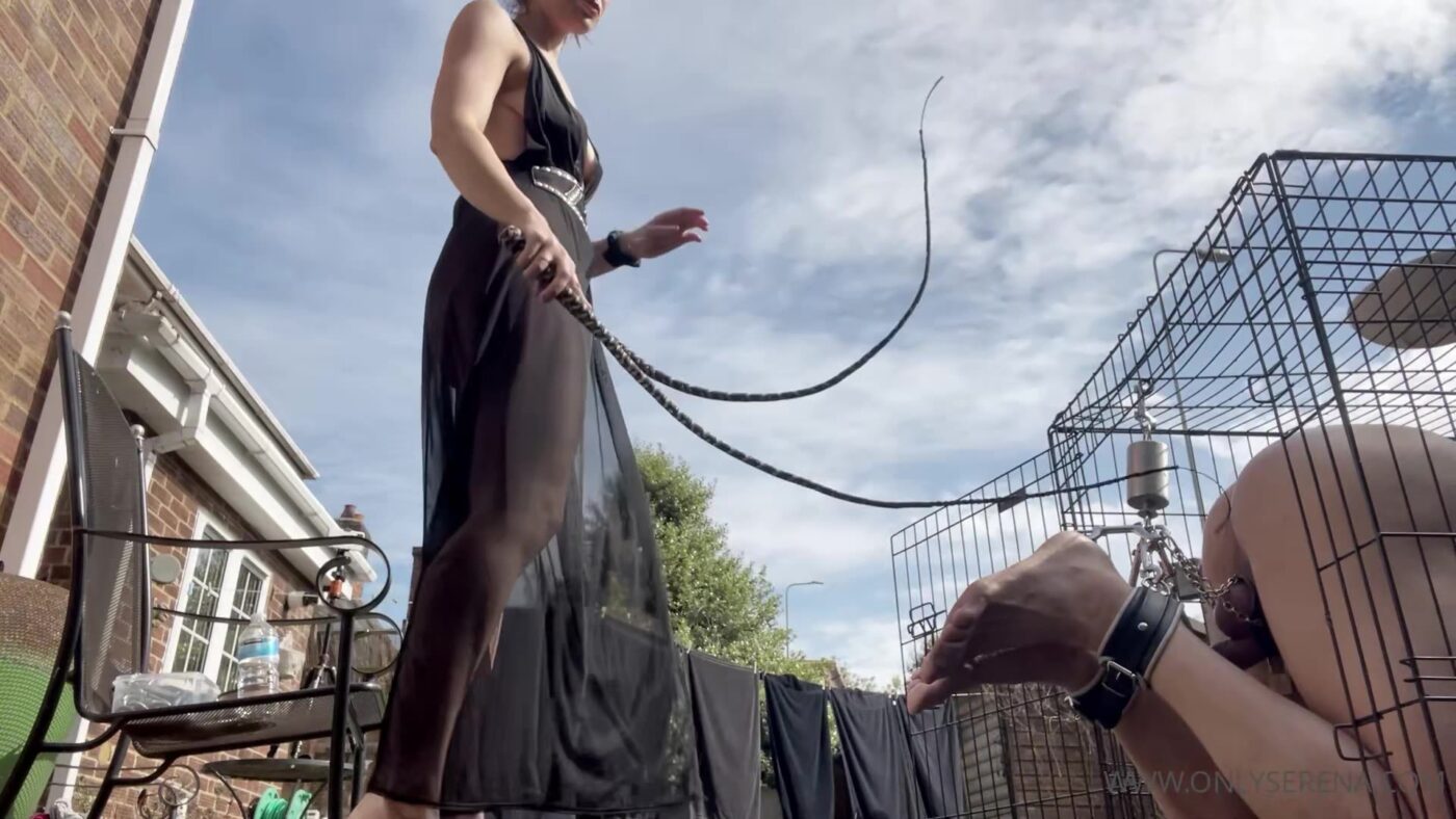 Actress: Goddess Serena Goddess Gynarchy. Title and Studio: WHIPPING HIS FEET WHILST HE’S LOCKED INTO A DOG CAGE WITH ICE TIMER PADLOCS
