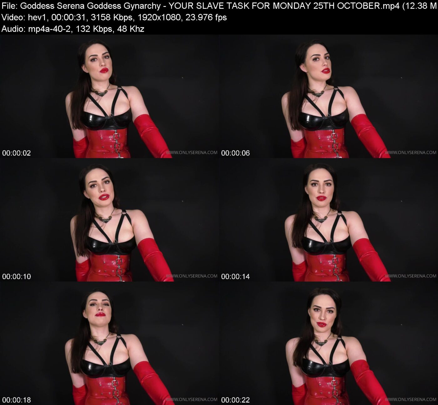 Actress: Goddess Serena Goddess Gynarchy. Title and Studio: YOUR SLAVE TASK FOR MONDAY 25TH OCTOBER