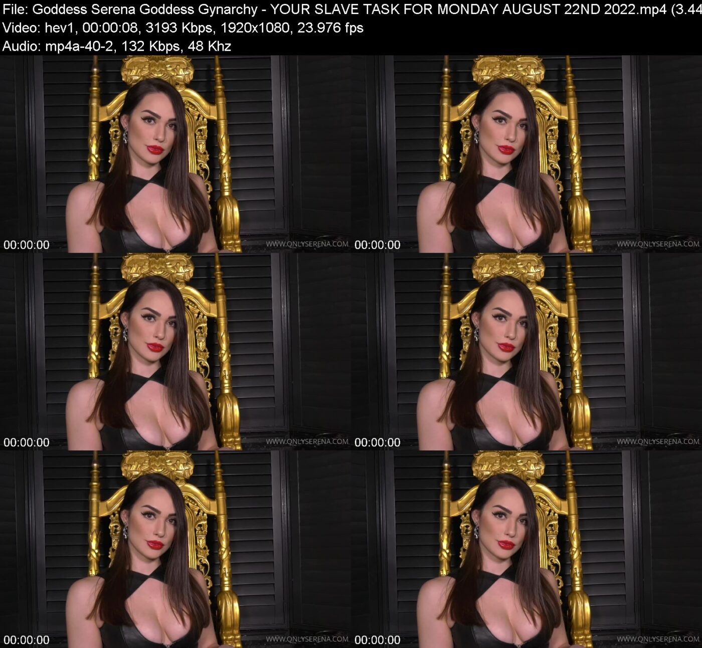 Actress: Goddess Serena Goddess Gynarchy. Title and Studio: YOUR SLAVE TASK FOR MONDAY AUGUST 22ND 2022