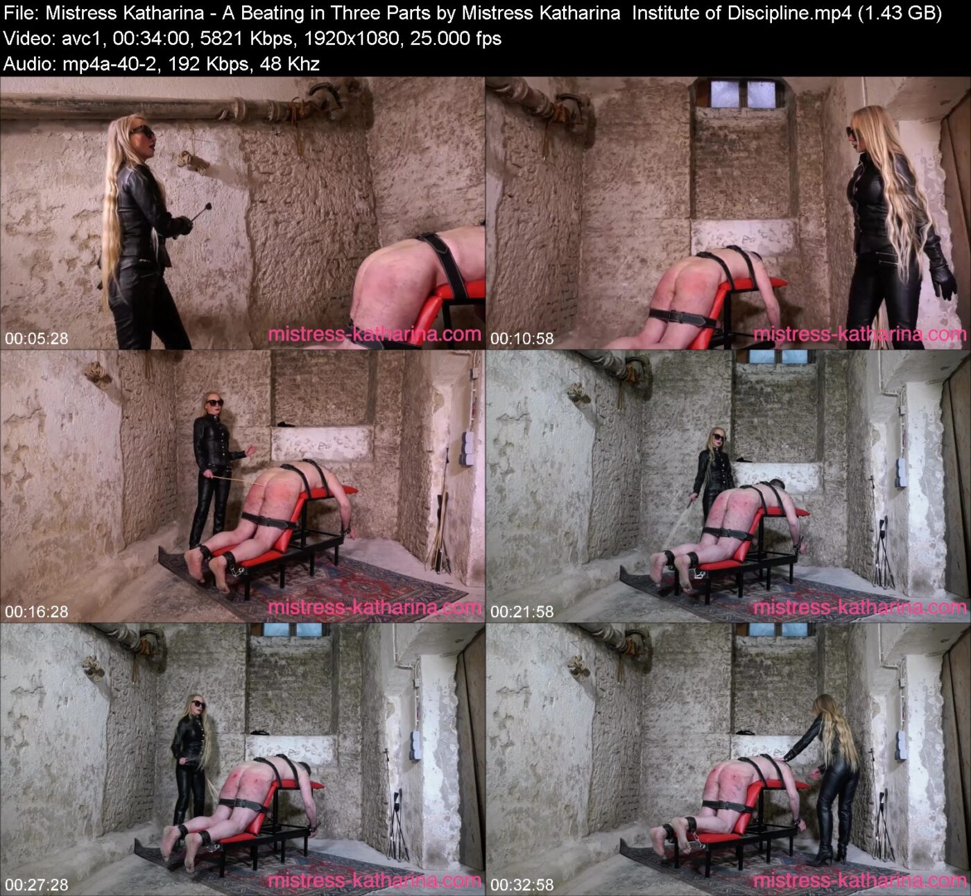 Actress: Mistress Katharina. Title and Studio: A Beating in Three Parts by Mistress Katharina  Institute of Discipline