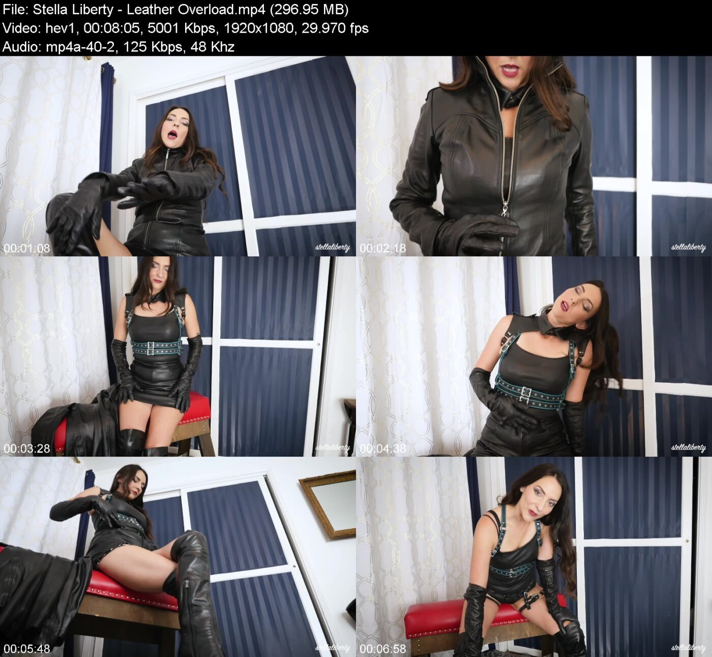 Actress: Stella Liberty. Title and Studio: Leather Overload