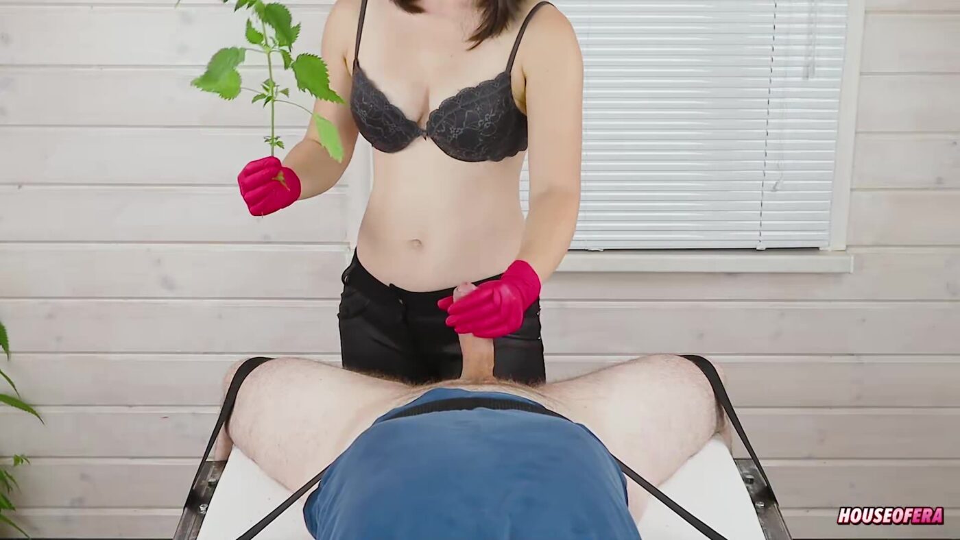 Actress: House of Era. Title and Studio: POV – Cock Balls NETTLE Torture with Ballbusting and Handjob for You
