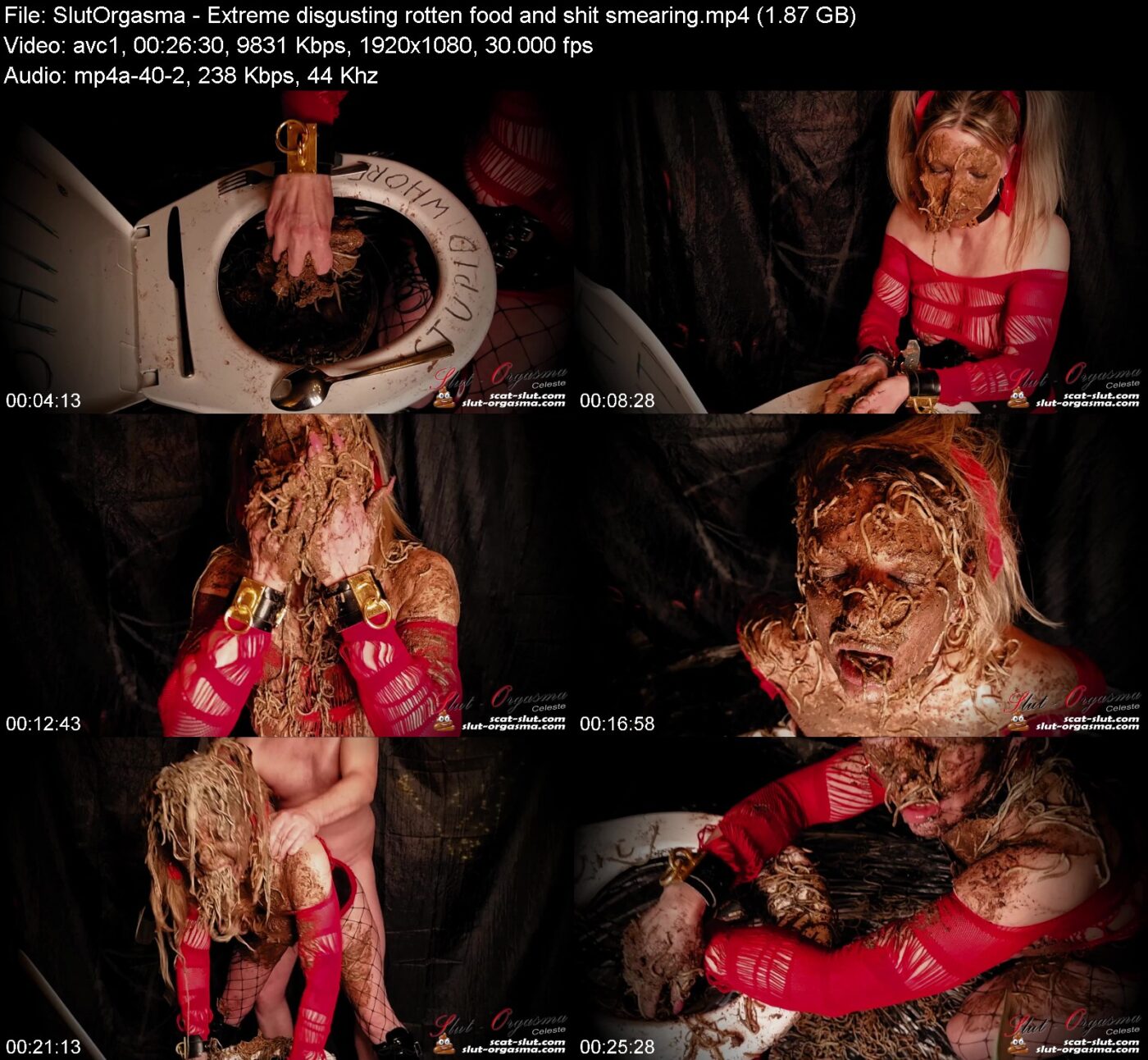 Actress: SlutOrgasma. Title and Studio: Extreme disgusting rotten food and shit smearing