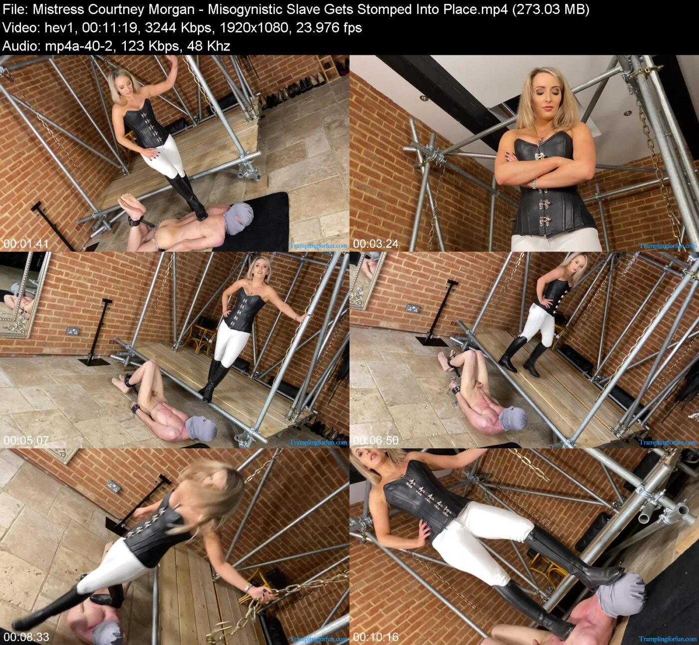 Mistress Courtney Morgan in Misogynistic Slave Gets Stomped Into Place