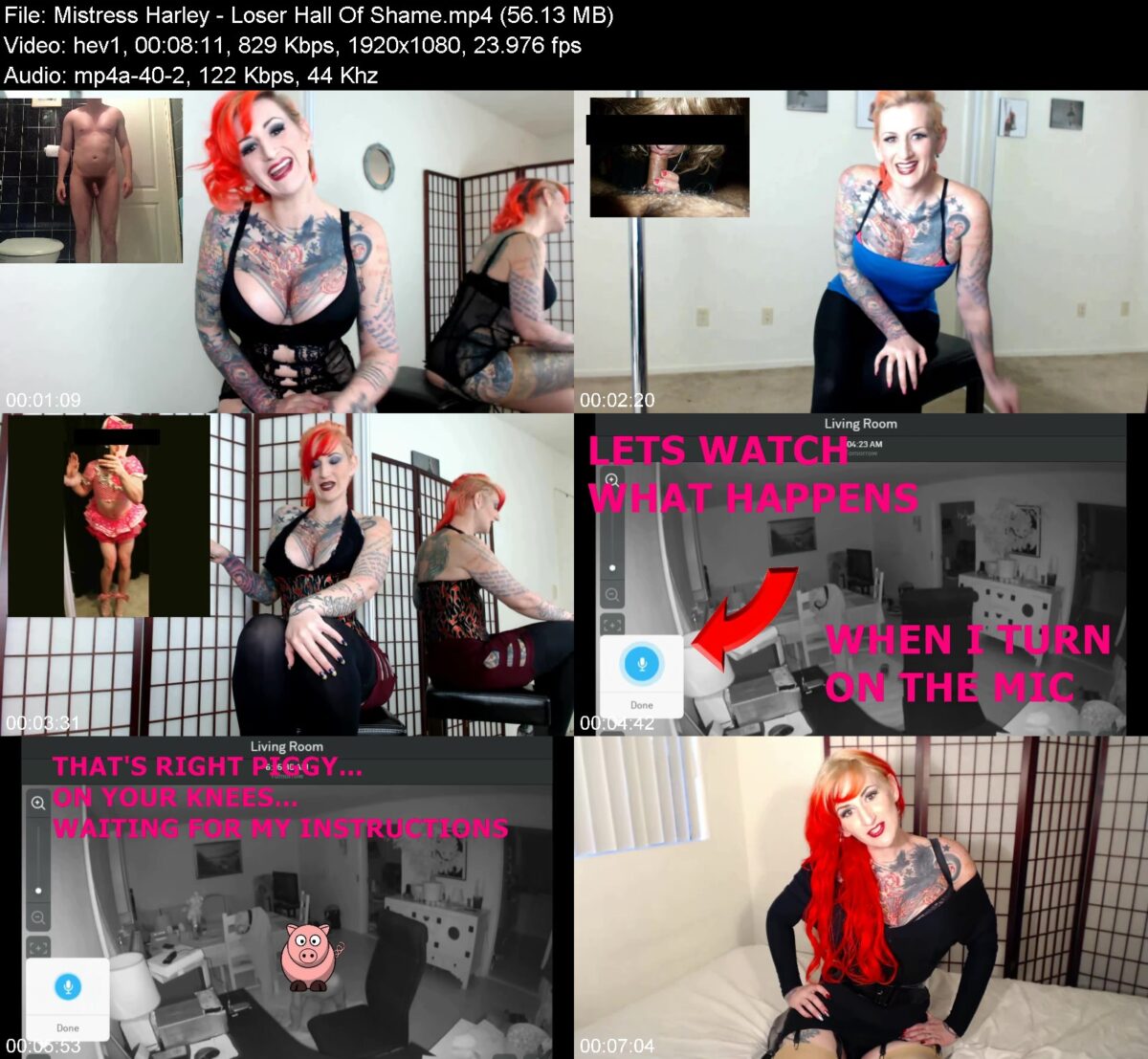 Actress: Mistress Harley. Title and Studio: Loser Hall Of Shame