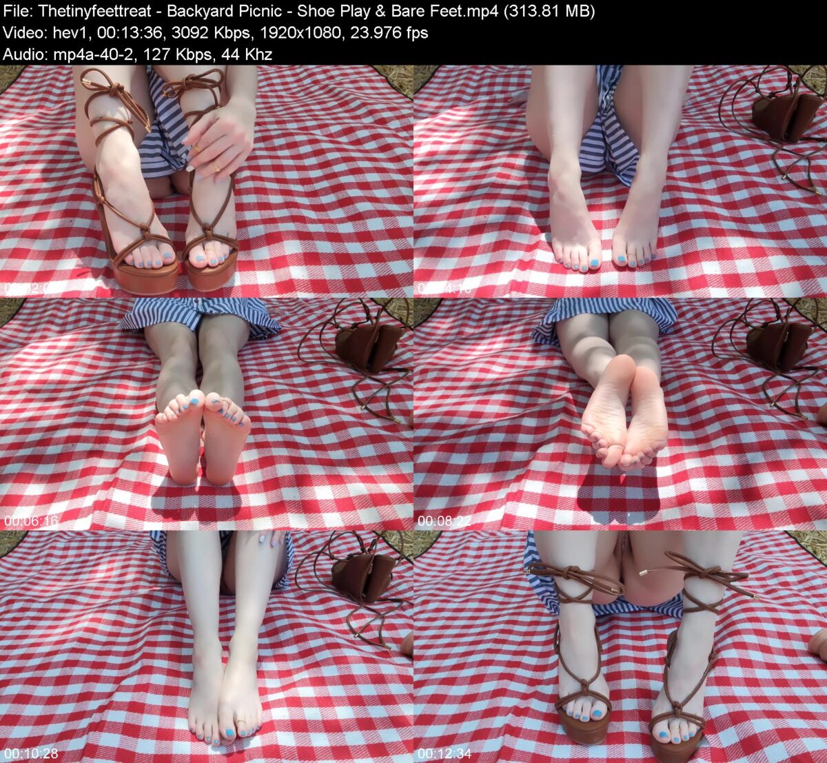 Actress: Thetinyfeettreat. Title and Studio: Backyard Picnic – Shoe Play & Bare Feet