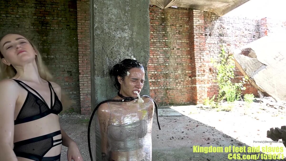Actress: Kingdom of Feet and Slaves. Title and Studio: Hardcore slave Survival – PART 3