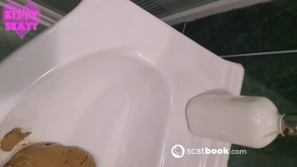 Kitty Skatt – Desperate Sink Log in Hotel